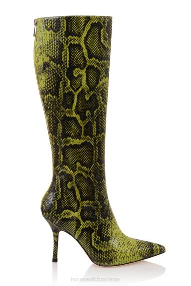 scarpe esso House of CB stivali alti al ginocchio con stampa verde royale X44T1071