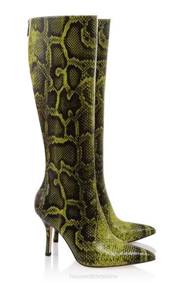scarpe esso House of CB stivali alti al ginocchio con stampa verde royale X44T1071