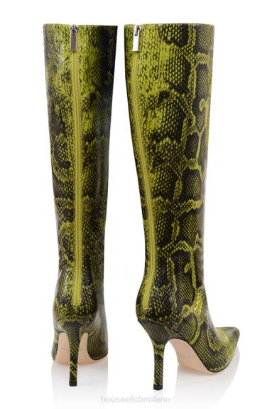 scarpe esso House of CB stivali alti al ginocchio con stampa verde royale X44T1071