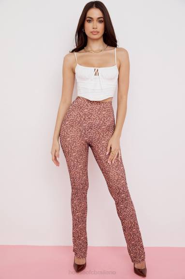 vestiario esso House of CB Pantaloni svasati in rete maite con stampa animalier X44T973